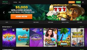 Wild Casino NY online casino