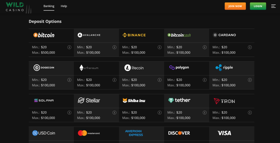 wild casino depositing options screenshot